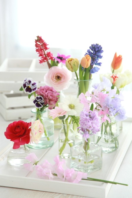 Spring Flower Feature – Part 2