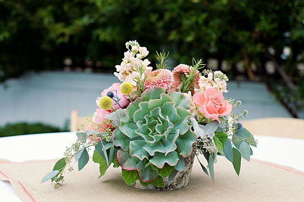 Summer Flower Feature – Part 1